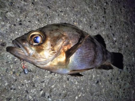 潮が止まるまでの勝負