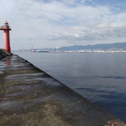 大サバ狙いで大サバと尺鯵！