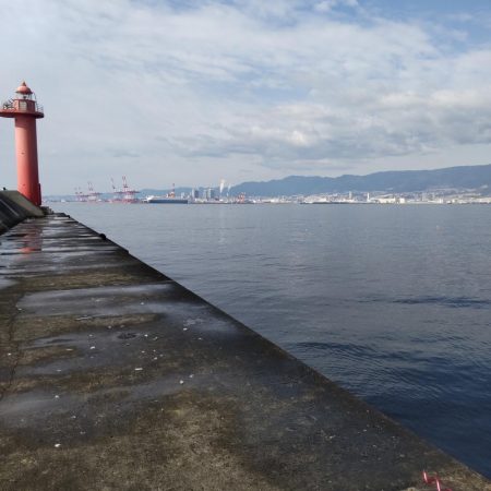 大サバ狙いで大サバと尺鯵！