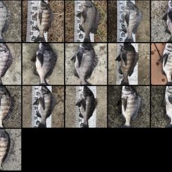 イチノ兄弟（兄）釣果！