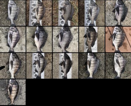 イチノ兄弟（兄）釣果！