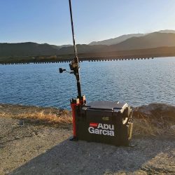 ヒラメと太刀魚