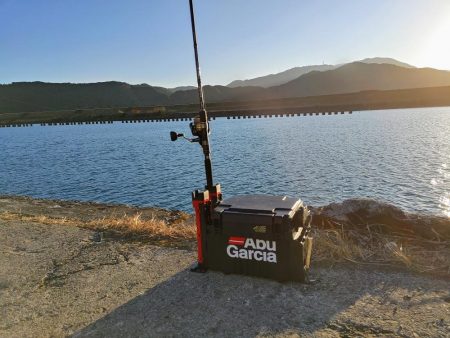 ヒラメと太刀魚