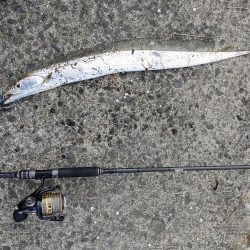 太刀魚釣り