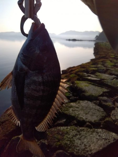 1月　ようやく釣れた