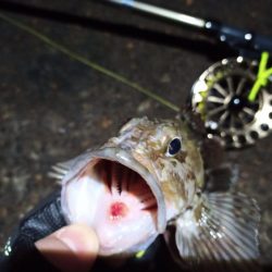 2023/01/09 南港ヘチ釣り釣行