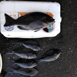 フカセ‥最高ですネ・・