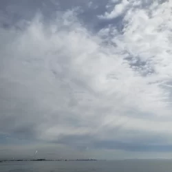 １ヶ月ぶりの鰤ならず