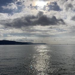 カサゴ入れ食い！