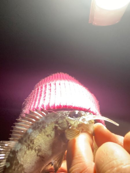 小島養魚場さんにてナイトゲーム！