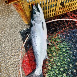 オフショアジギングin白老