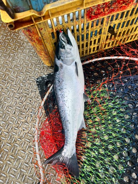 オフショアジギングin白老