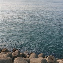 年末年始の釣行記