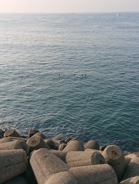 年末年始の釣行記