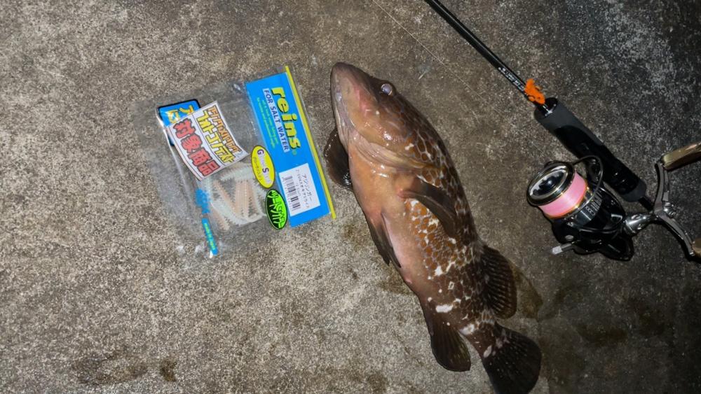 アジングしてると…