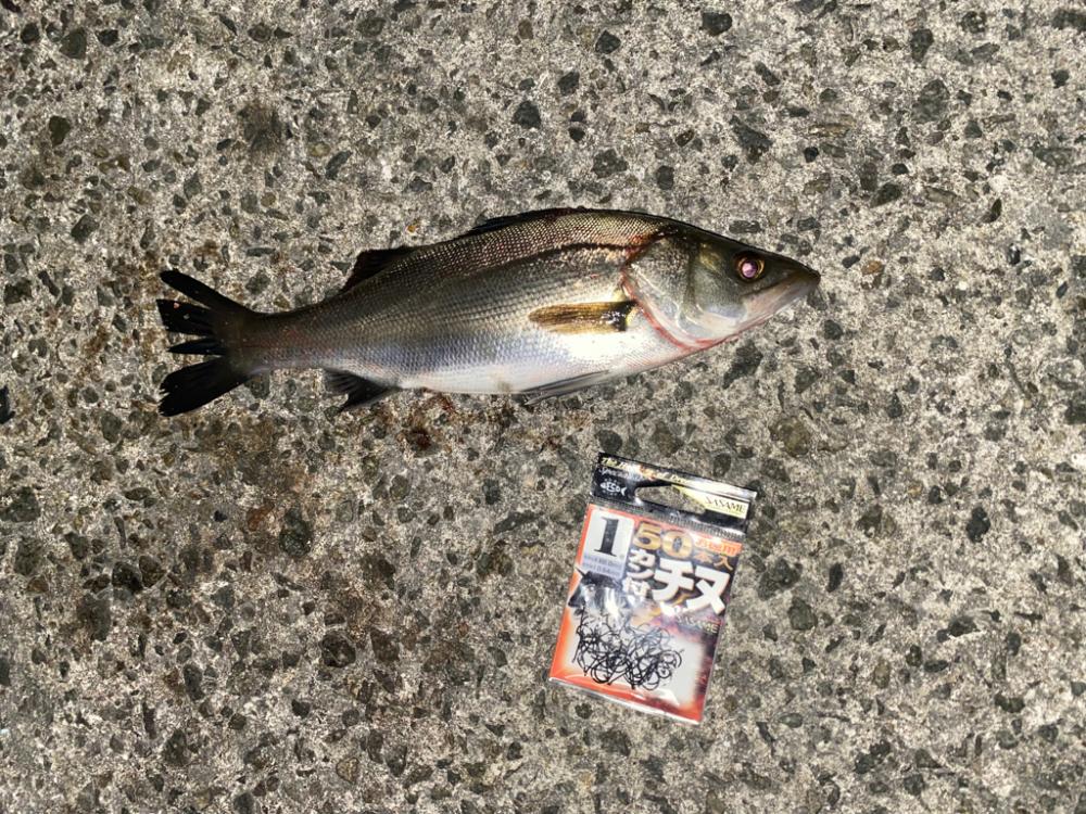 急に水温が下がり