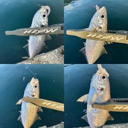 久々のスプリットリグ