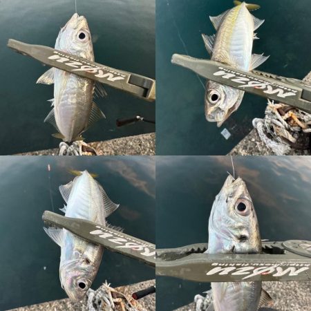 スプリット楽しい〜