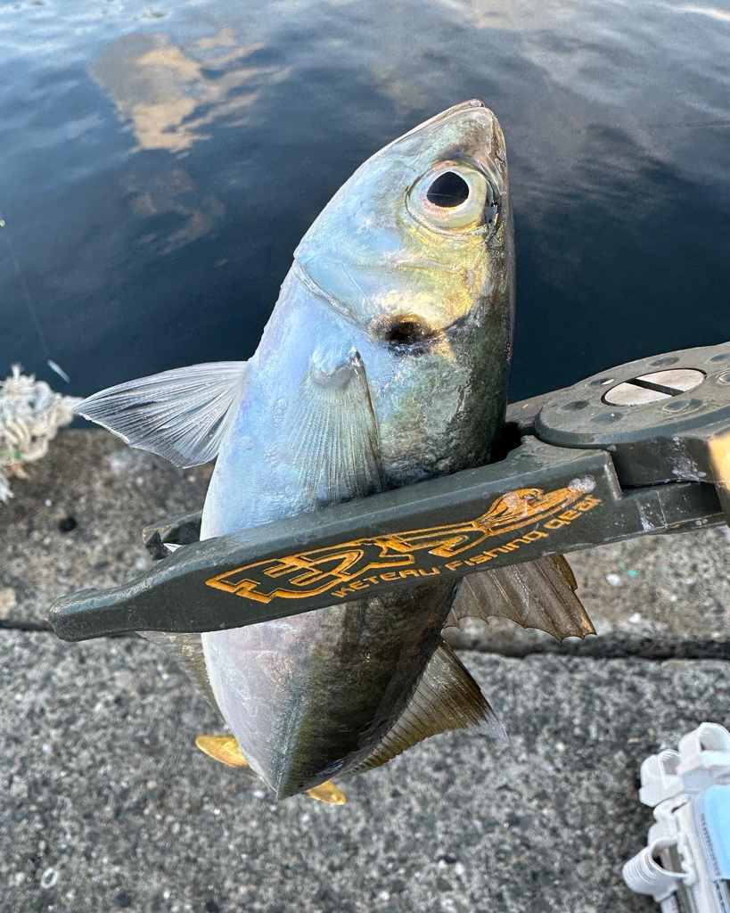 正月休み最後に