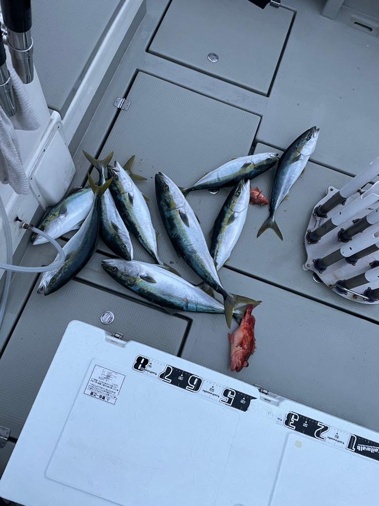 丹後沖ジギング