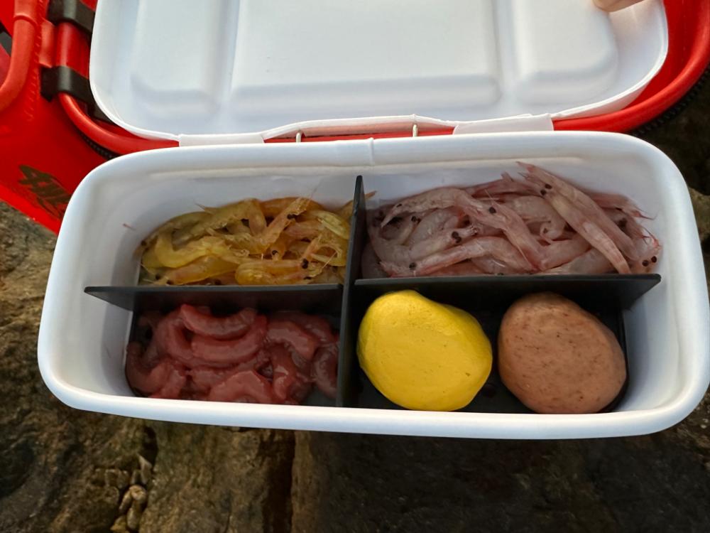 岡山県牛窓釣行