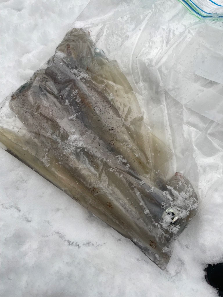 祝ヤリ〜開幕&RT墨つけ