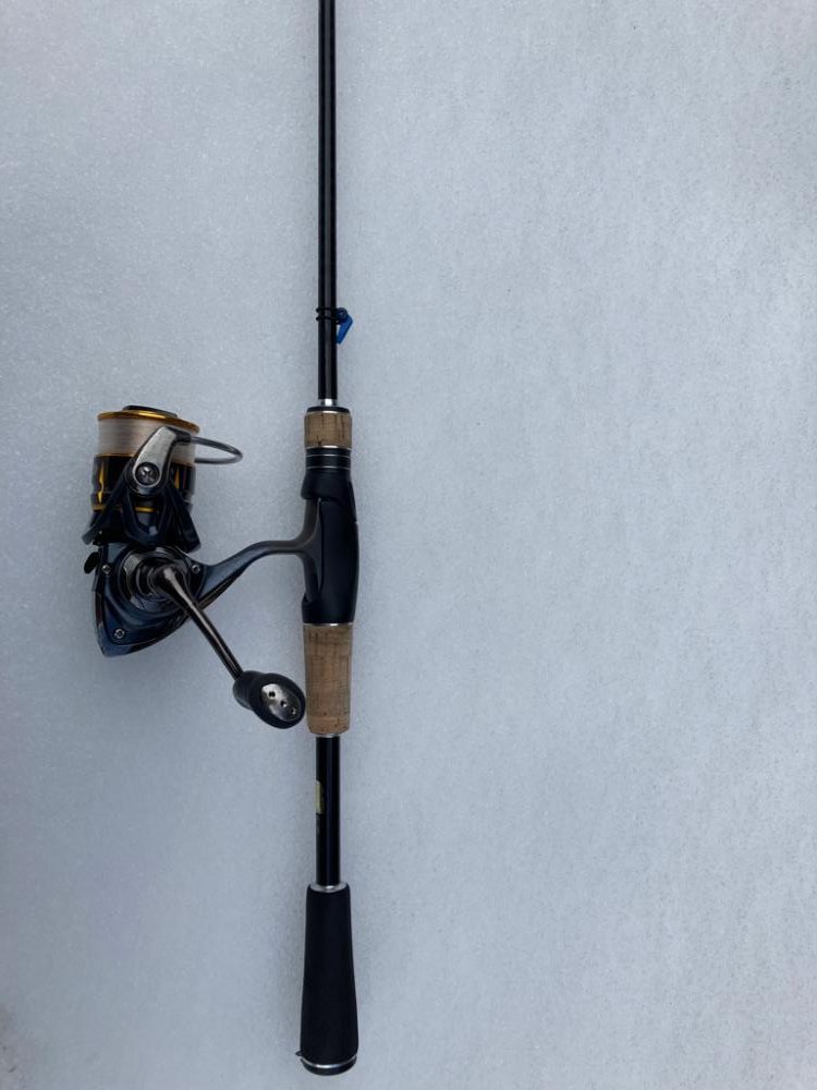 琵琶湖有数の越冬エリア