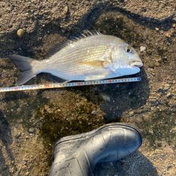 連続40センチオーバー確保！