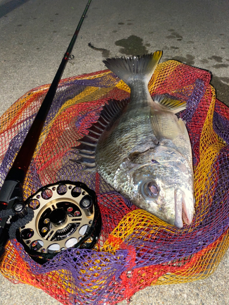 ヘチってきました