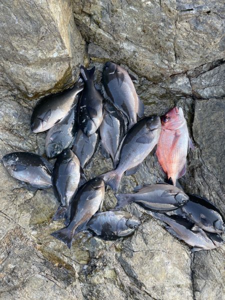 横島3番クロ釣り❗️