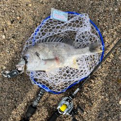 冬チニング其のニ