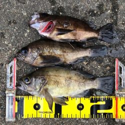 4打数3安打（4バイト3ゲット）