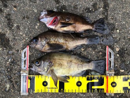 4打数3安打（4バイト3ゲット）