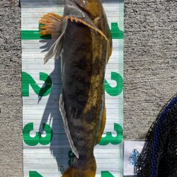 ロックフィッシュ大会！