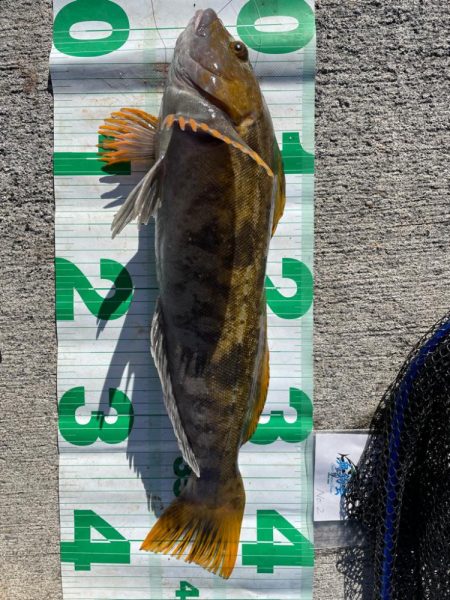 ロックフィッシュ大会！