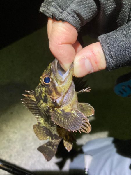 新年！トリプルクロスでライトゲーム！