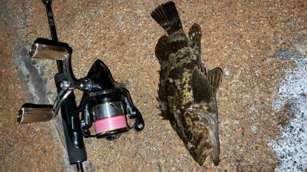 激渋メバリング