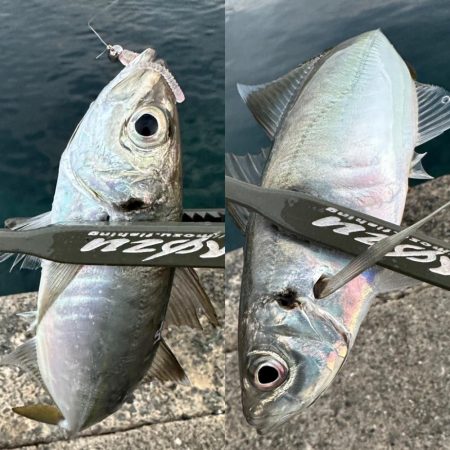 釣り始