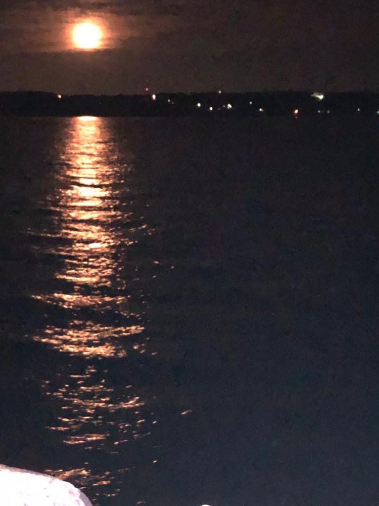 2023年 釣り初め❗️