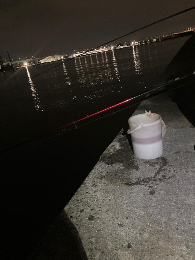 最後にバタバタっと