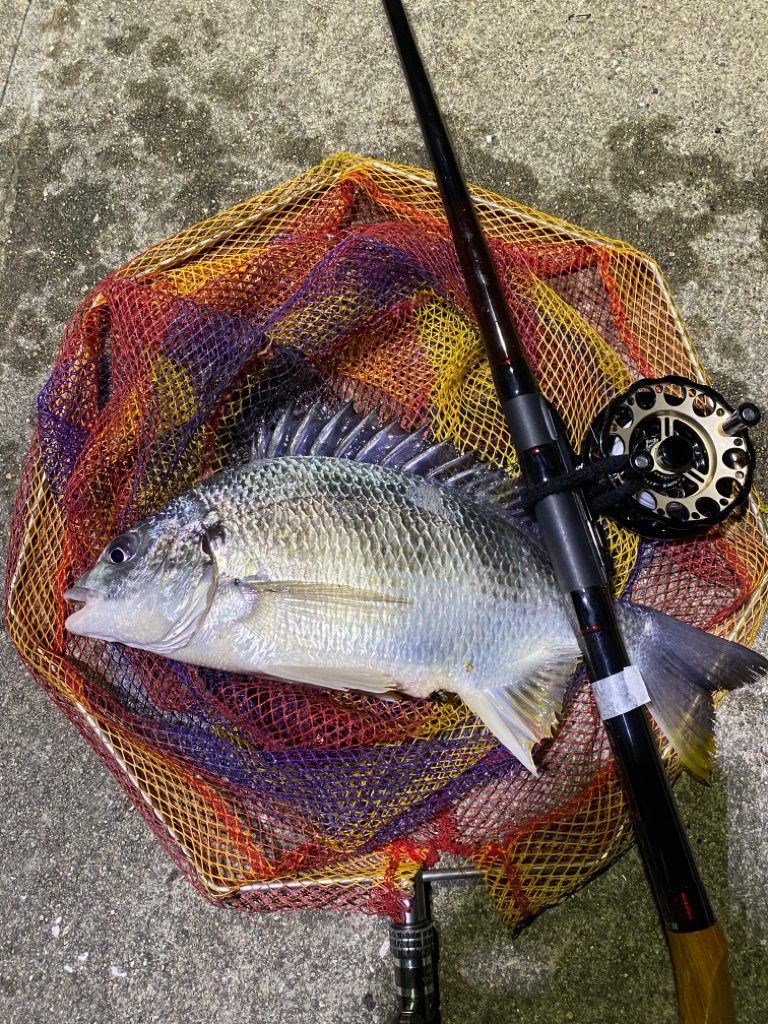 ヘチってきました