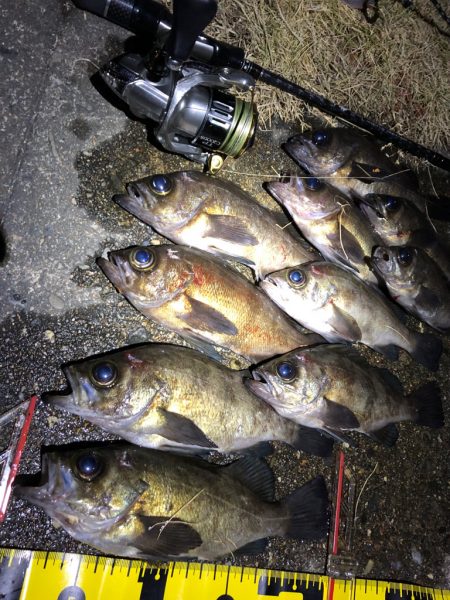 つぬけメバリング