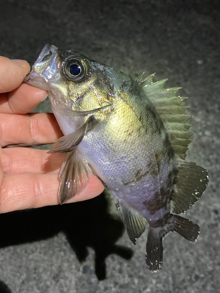 寒波が来る前に