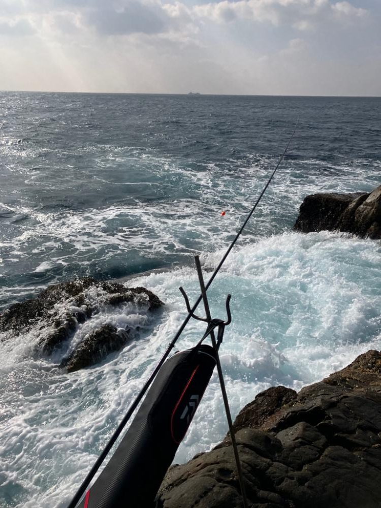 磯でグレ&イスズミ