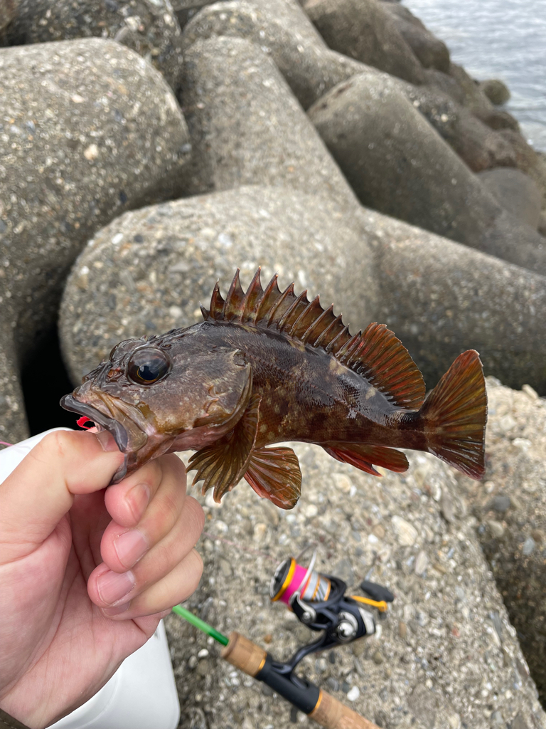 帰ってきた穴釣りNo.2