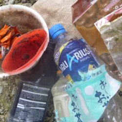 清掃活動：冬の淡水魚