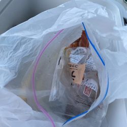 清掃活動：船カワハギ