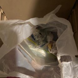 清掃活動：初釣りでカワハギ