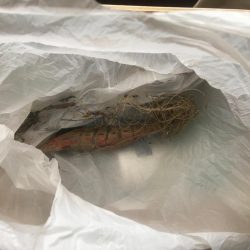 清掃活動：新春ガシラ