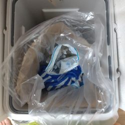 清掃活動：今年初のオフショアでウマヅラハギ…